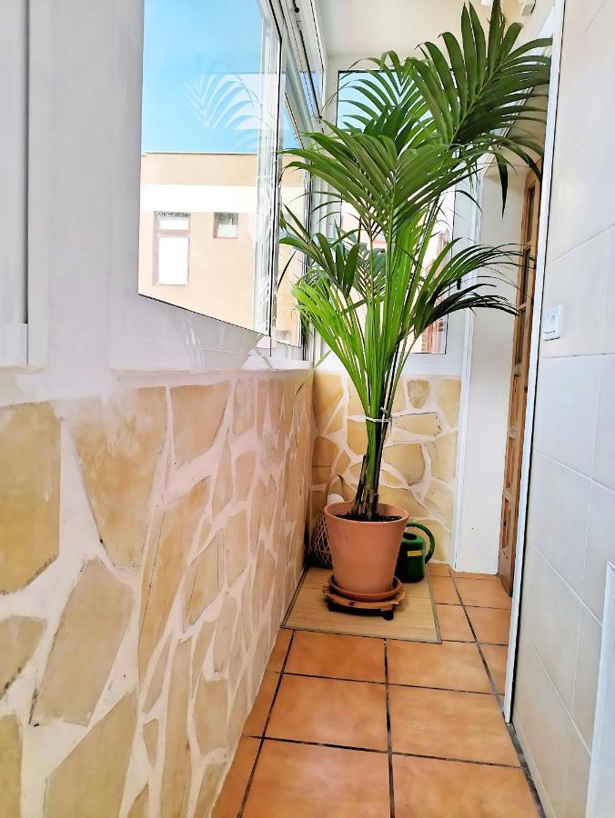 Apartamento Vida Mediterranea Lägenhet Puerto de la Cruz  Exteriör bild