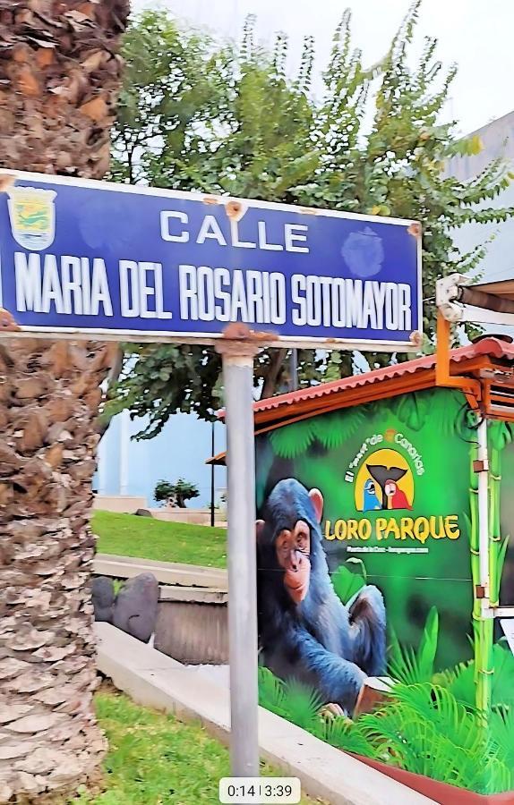 Apartamento Vida Mediterranea Lägenhet Puerto de la Cruz  Exteriör bild